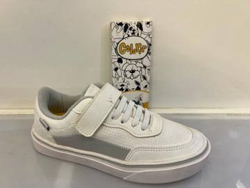 ونس طرح برشکا